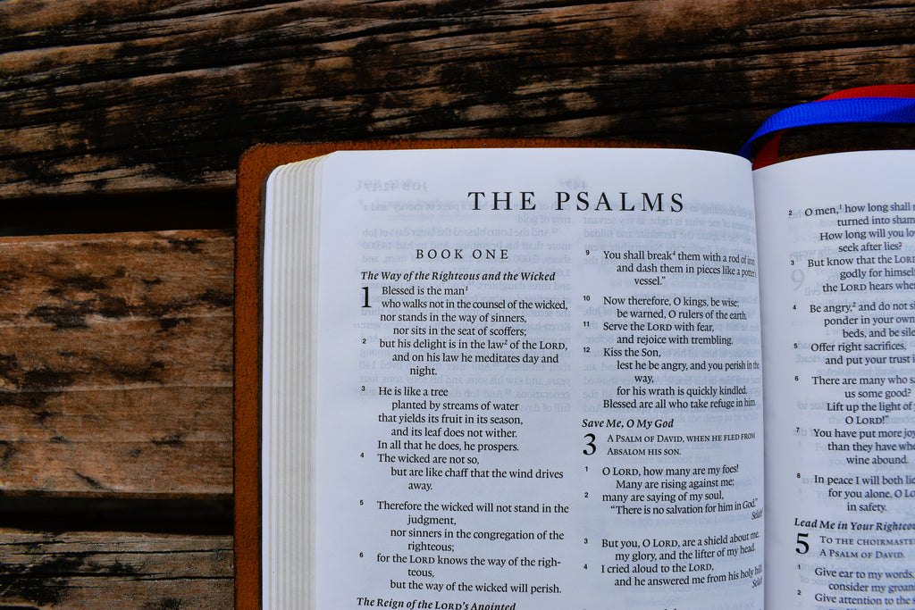 Leather bible opened to Psalms. Handbound by Salt & Light Bindery NZ