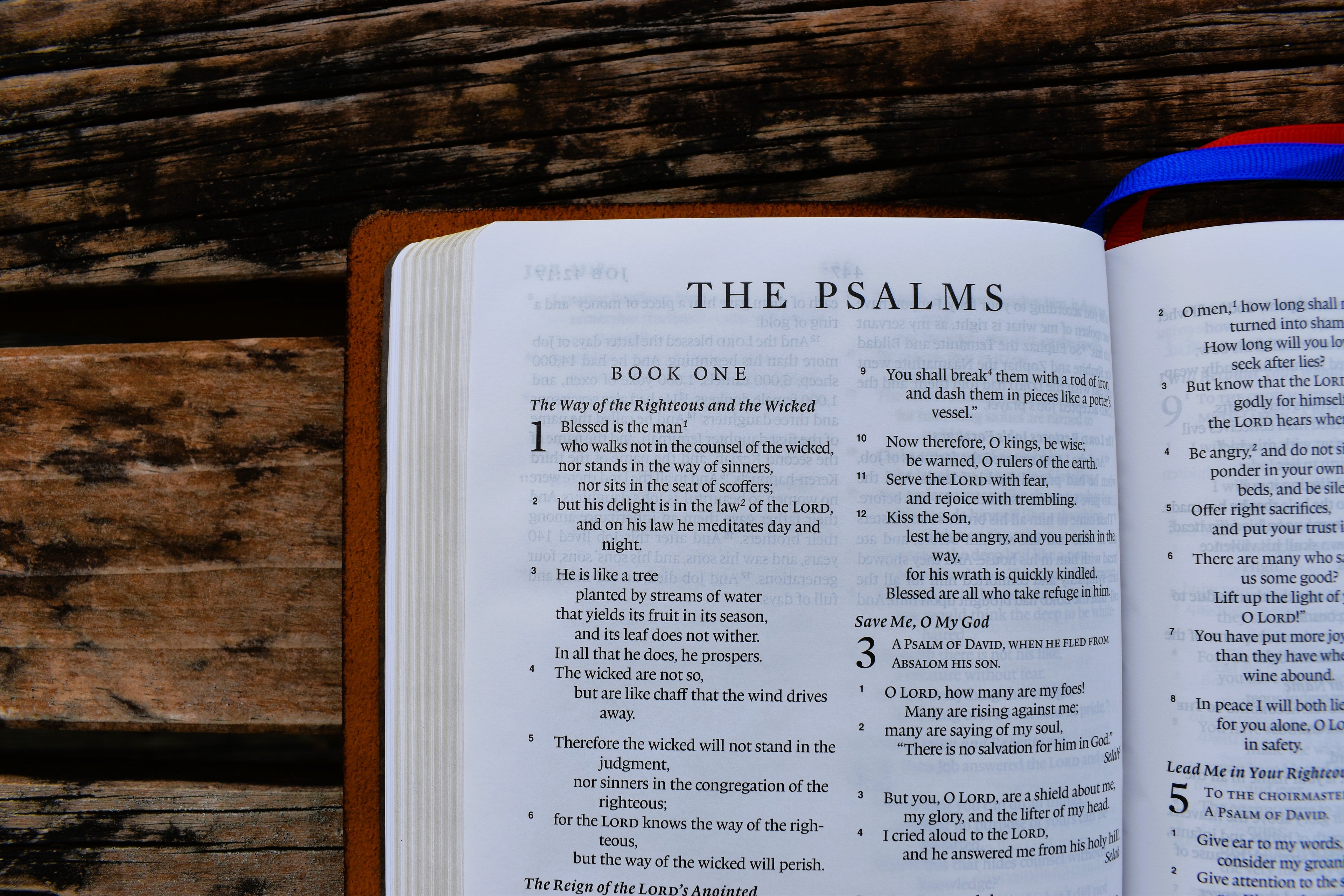 Leather bible opened to Psalms. Handbound by Salt & Light Bindery NZ